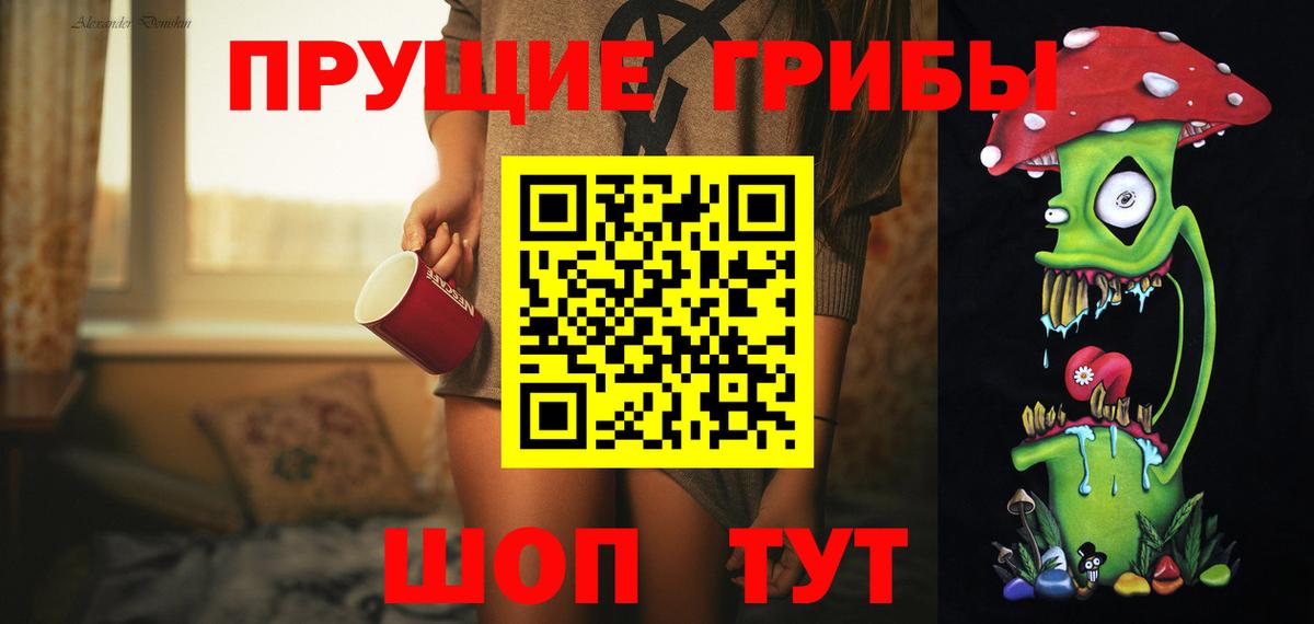 Галлюциногенные грибы Psilocybine cubensis Буйнакск